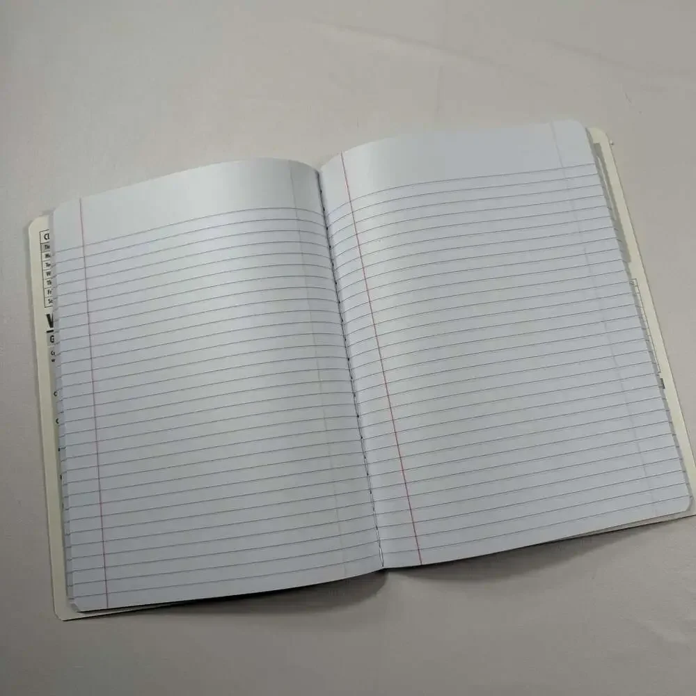 How do dinosaurs… Lined Notebook Journal
